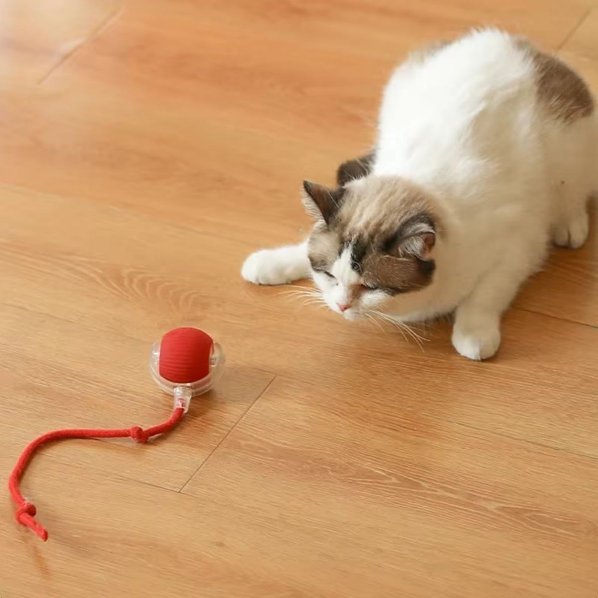 BUFFER® Şarjlı Otomatik Hareketli Kedi Köpek İçin 360 Derece Dönen İnteraktif Akıllı Oyun Topu
