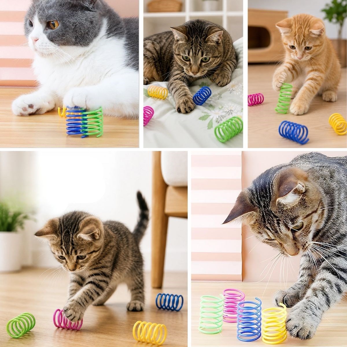 BUFFER® 4’lü Renkli Spiral Yay Kedi Oyuncağı, Esnek ve Hareketli Eğlenceli Kedi Oyun Seti