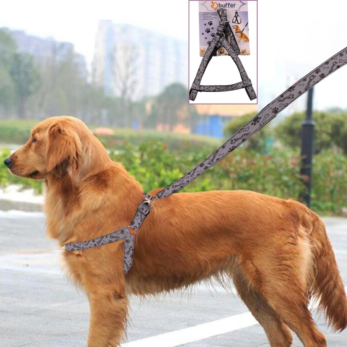 BUFFER® Ergonomik Yumuşak Dokulu Terletmez Köpek Göğüs Tasması Medium