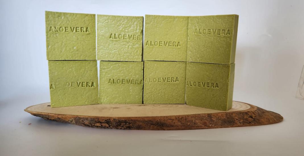 Çiçek Grubu Aloevera 8 Li