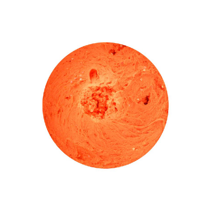 SPRO TM PRO PASTE CHEESE FLUO Orange
